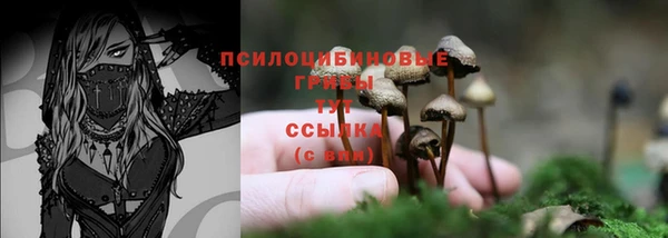 соль ск Алзамай
