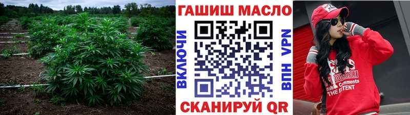 мега ТОР  Питкяранта  shop официальный сайт  ТГК жижа 